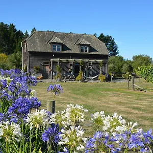 Ddog Vineyard & Renwick