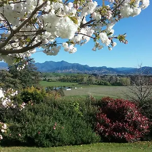 Omaka Heights Countrystay Renwick